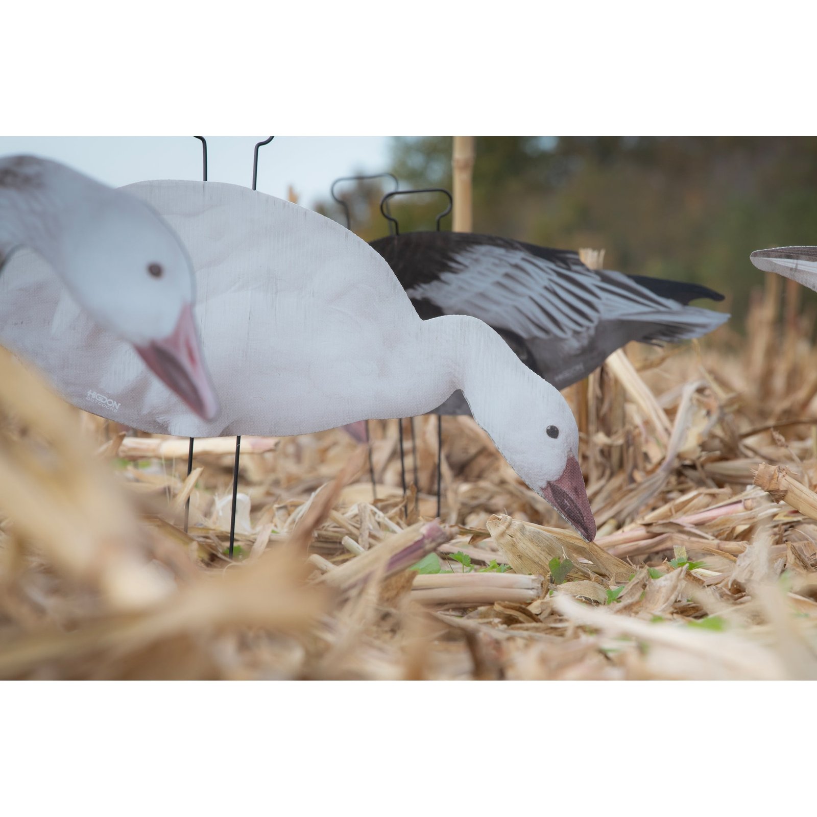FLATS Snow/Juvie/Blue Goose Standard Silhouette - Image 7