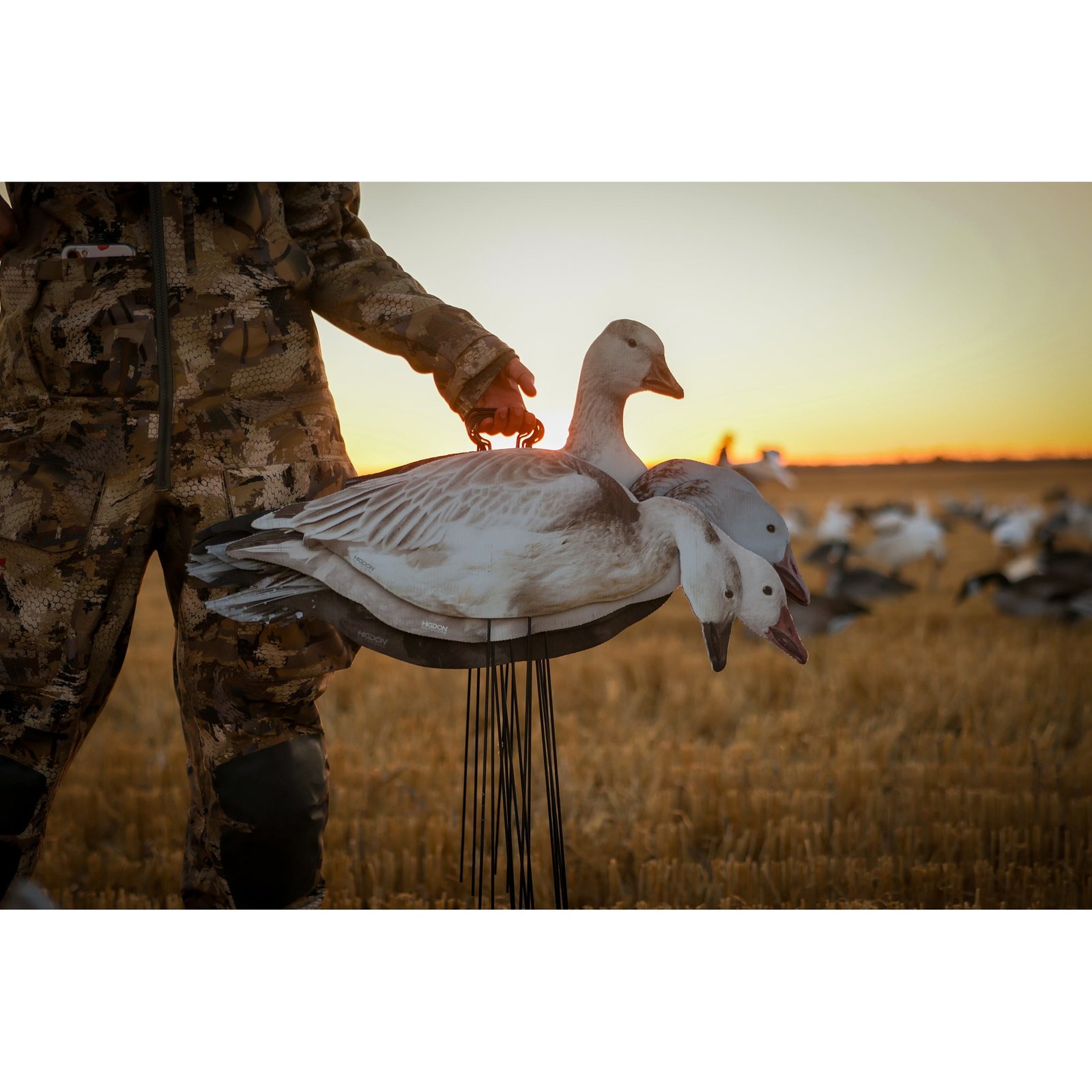 FLATS Snow/Juvie/Blue Goose Standard Silhouette - Image 10