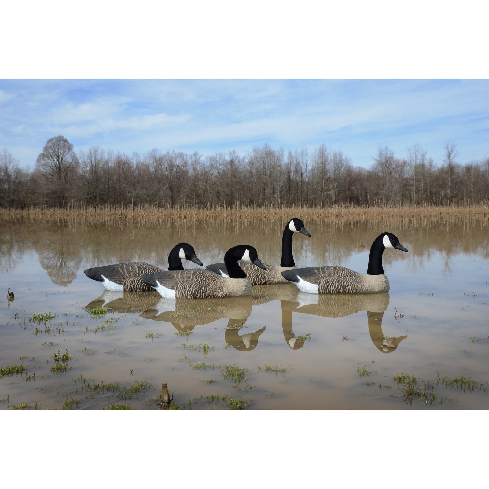 Full-Size Goose Floater-Canada - Image 3