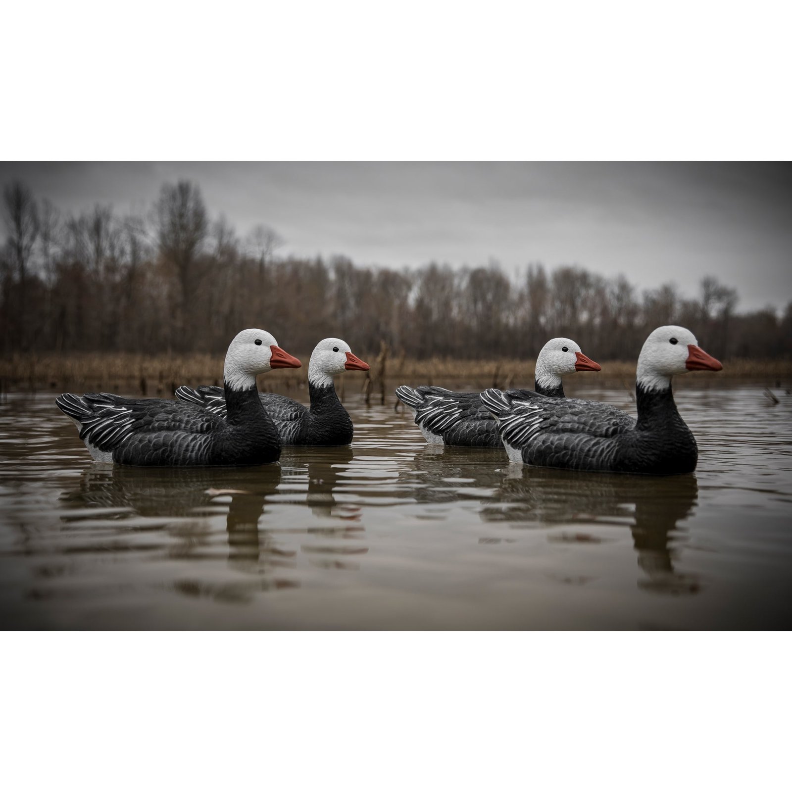 Full-Size Goose Floater-Blue - Image 3