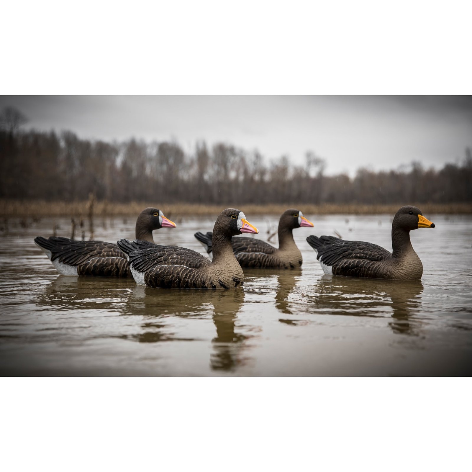 Full-Size Goose Floater-Speck - Image 3
