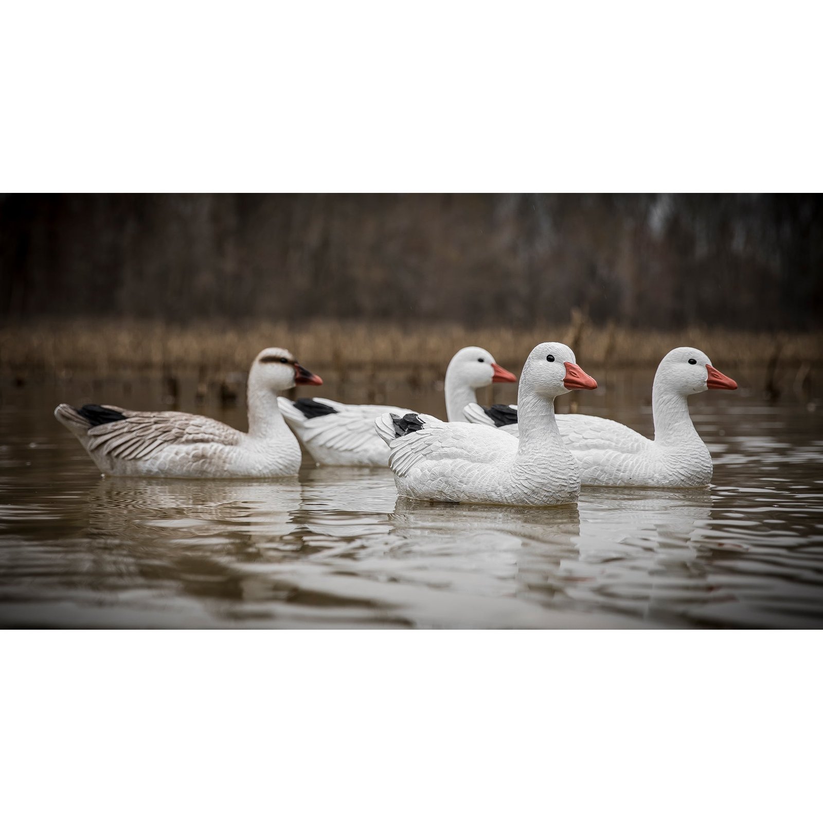 Full-Size Goose Floater-Snow - Image 3