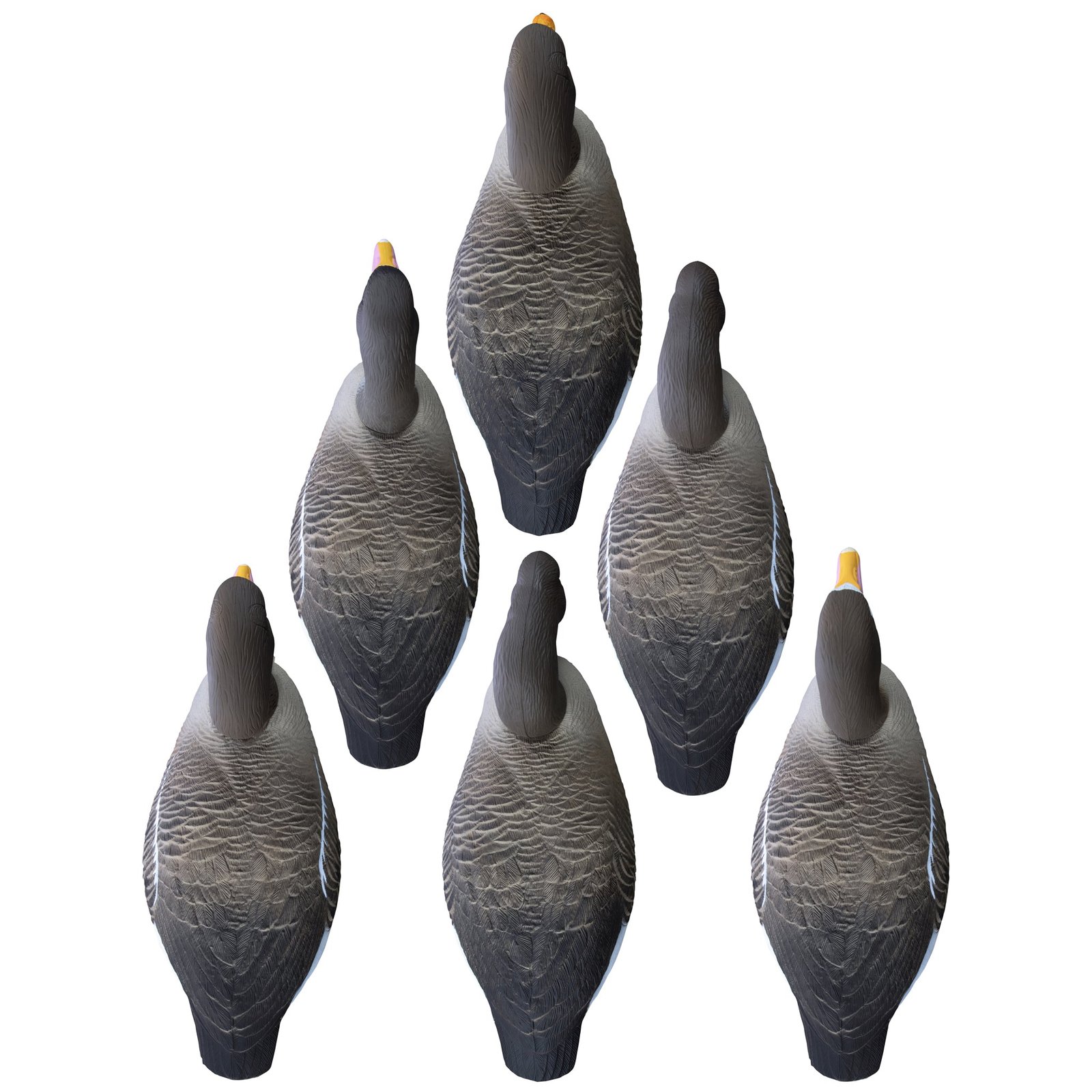Full-Size Half-Shell-Speck - Image 2