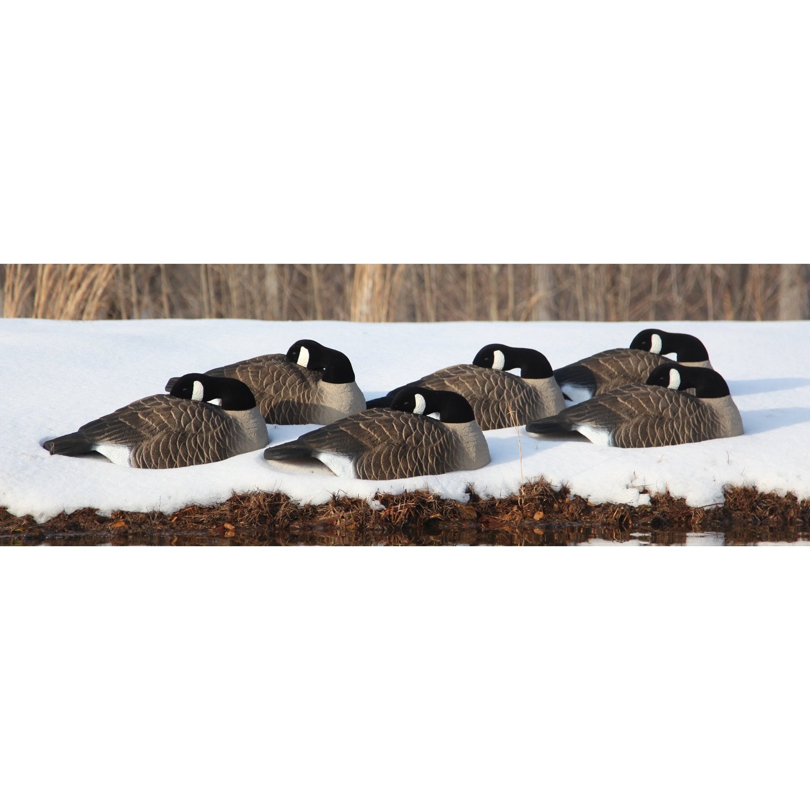 Full-Size Half-Shell Sleeper Pack-Canada - Image 3