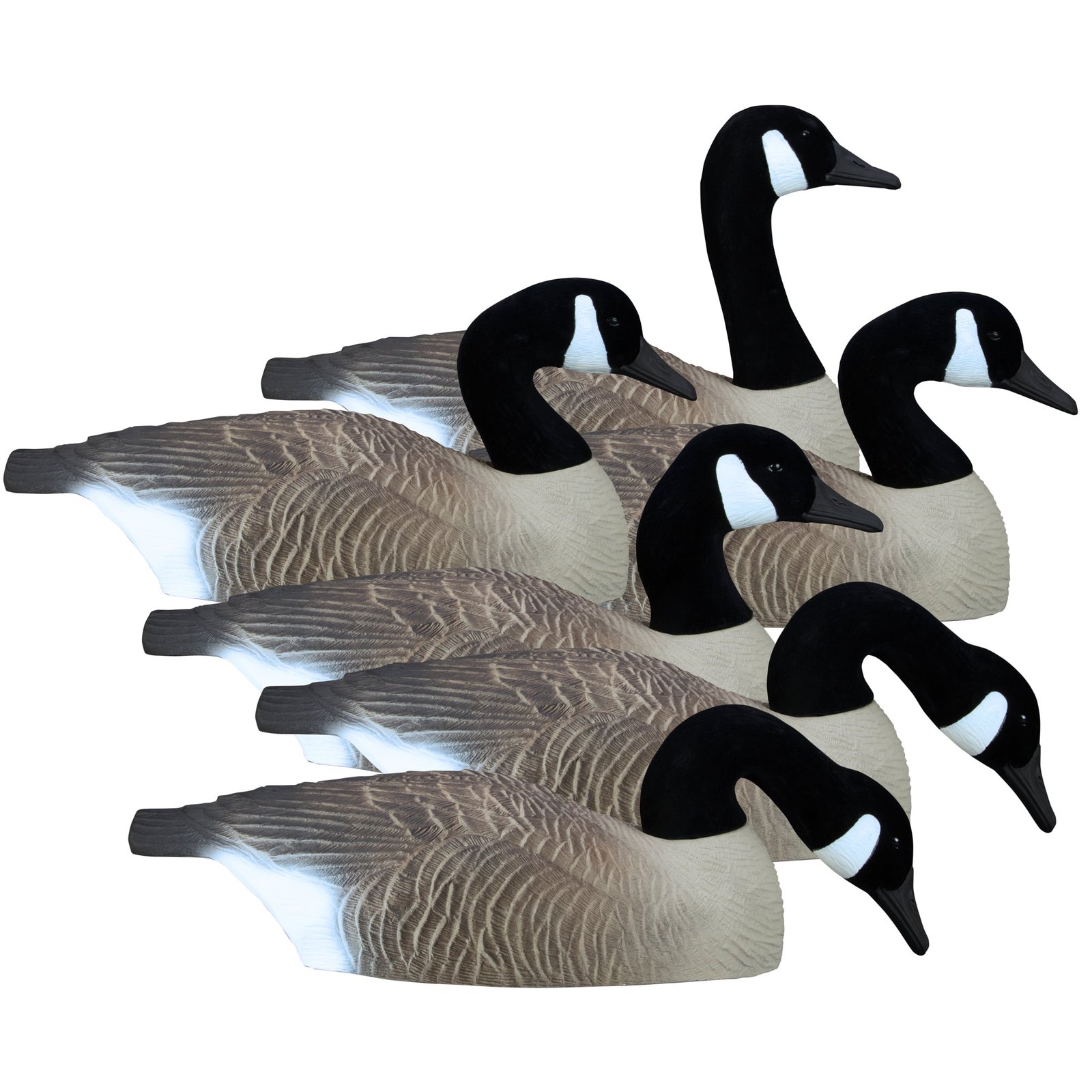 Full-Size Half-Shell-Canada