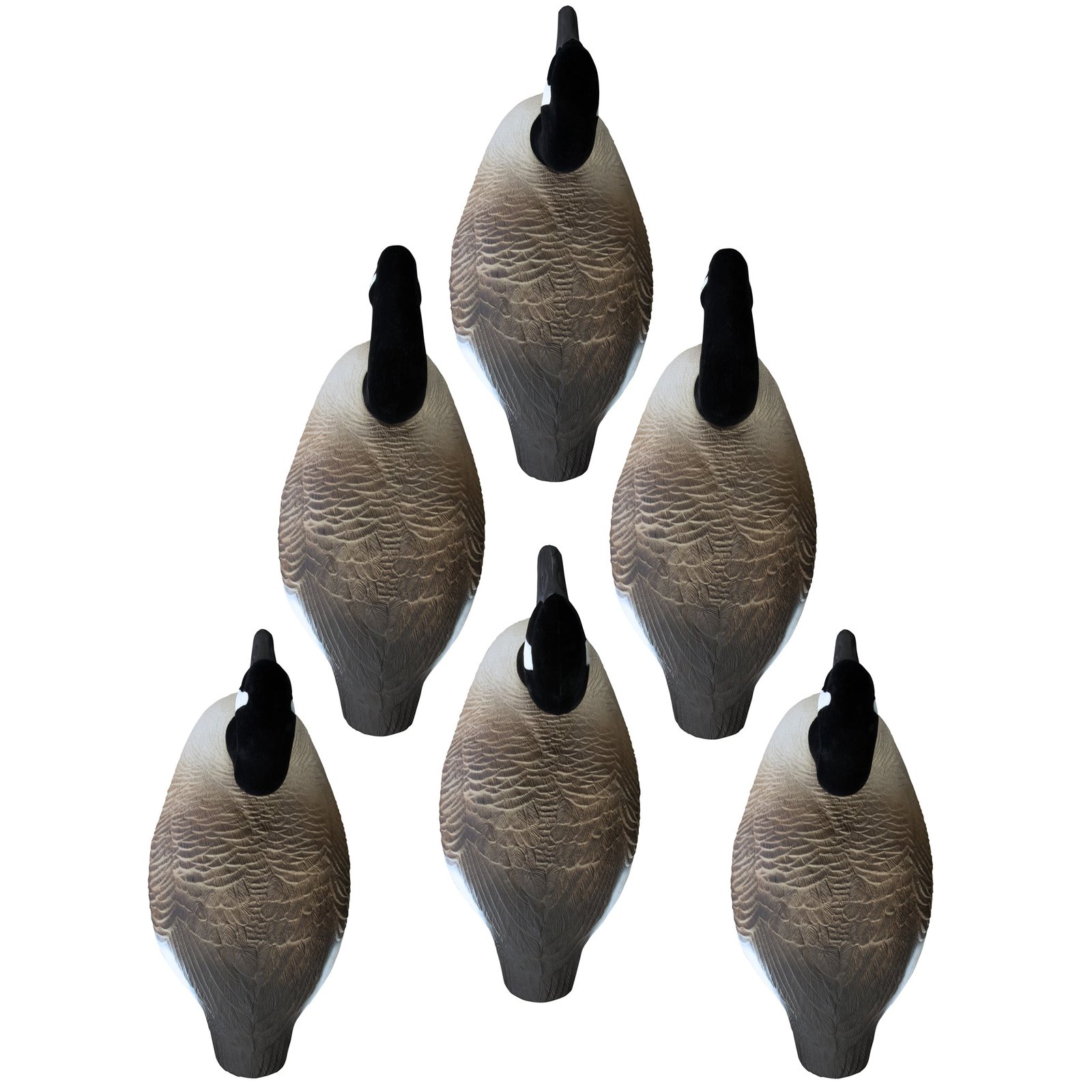 Full-Size Half-Shell-Canada - Image 2