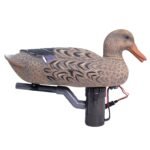 Hardwire Swimmer Hen