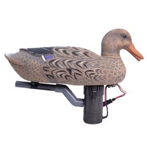 Hardwire Swimmer Hen