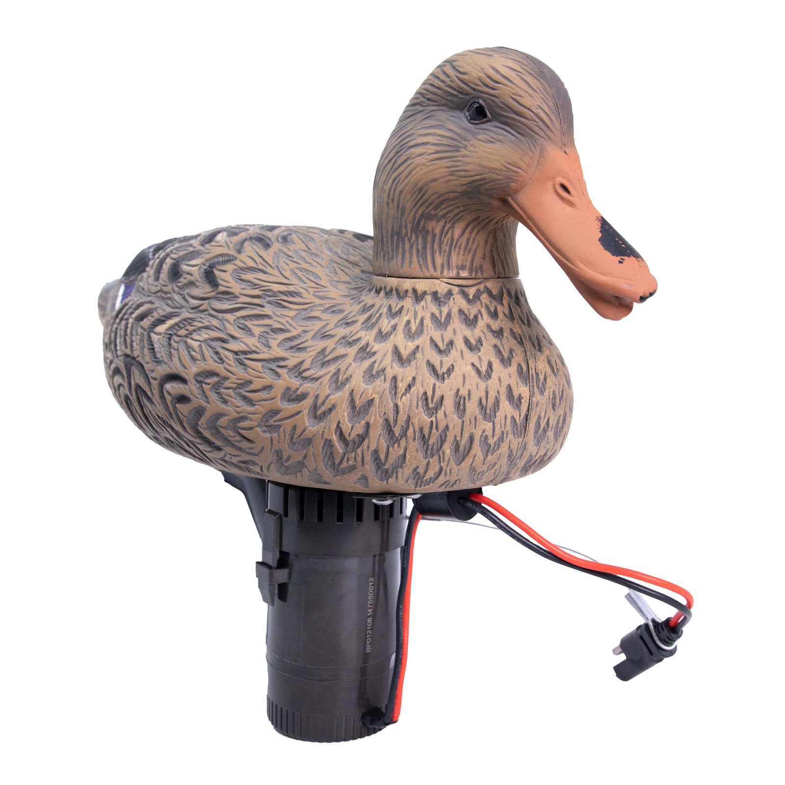 Hardwire Swimmer Hen - Image 2