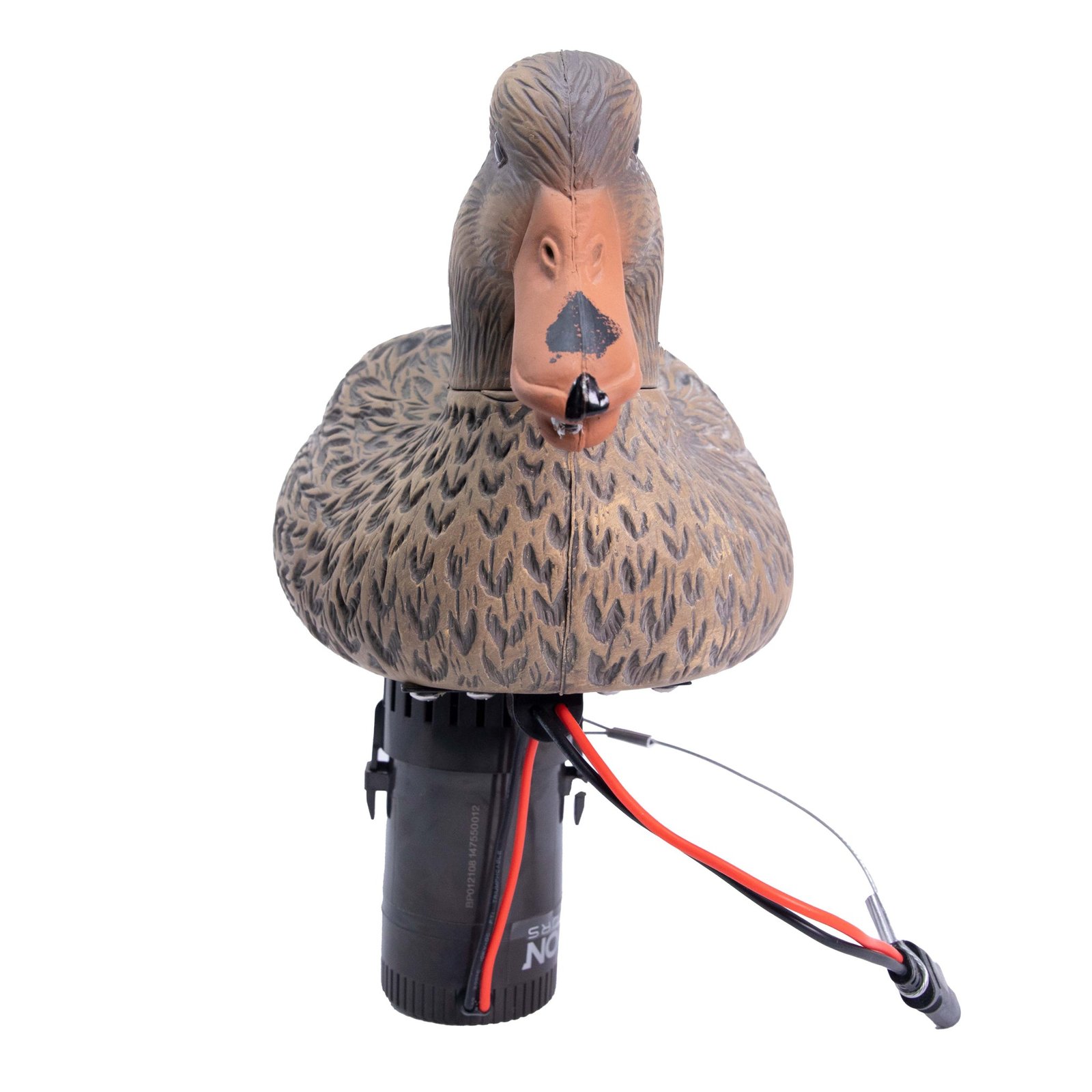 Hardwire Swimmer Hen - Image 3