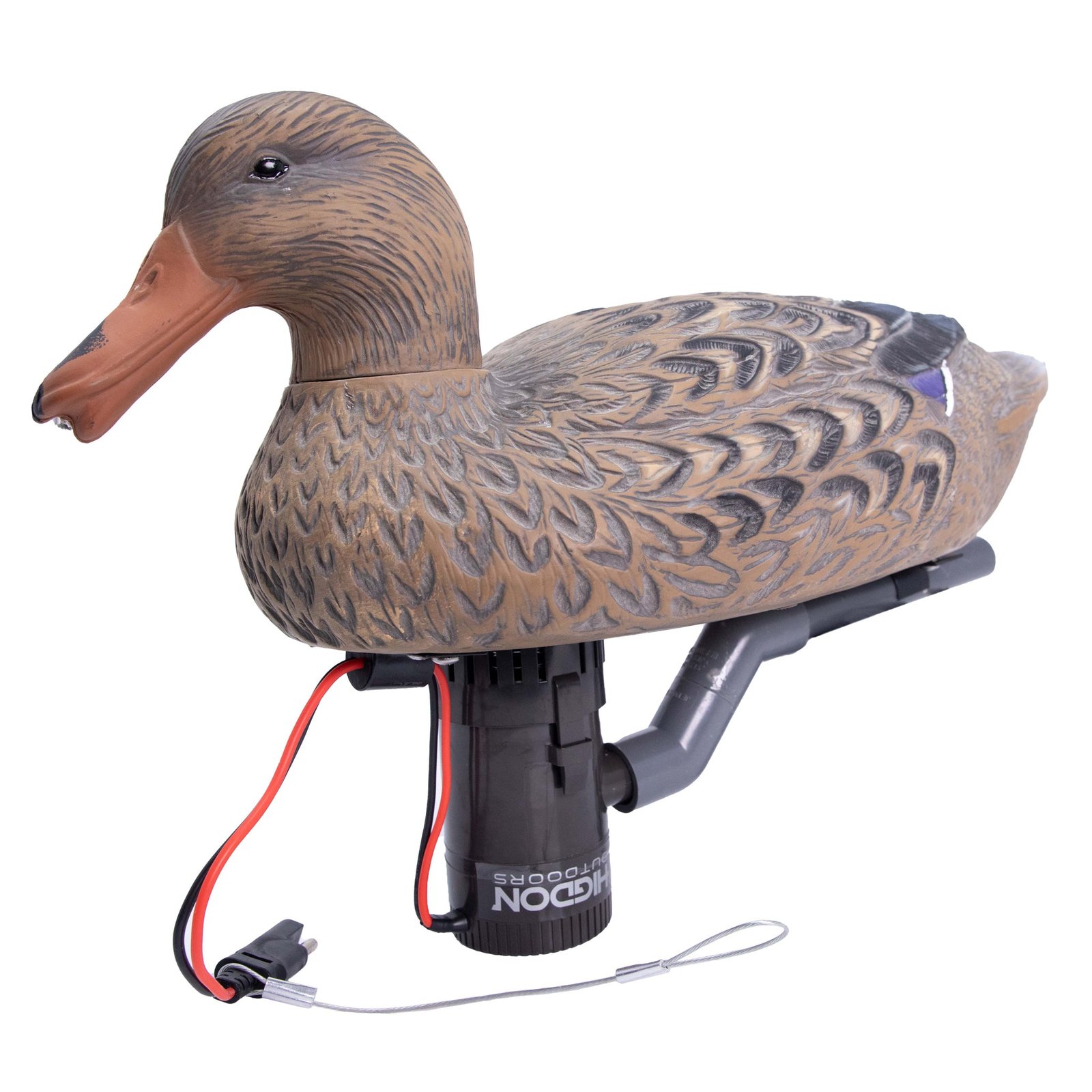 Hardwire Swimmer Hen - Image 4