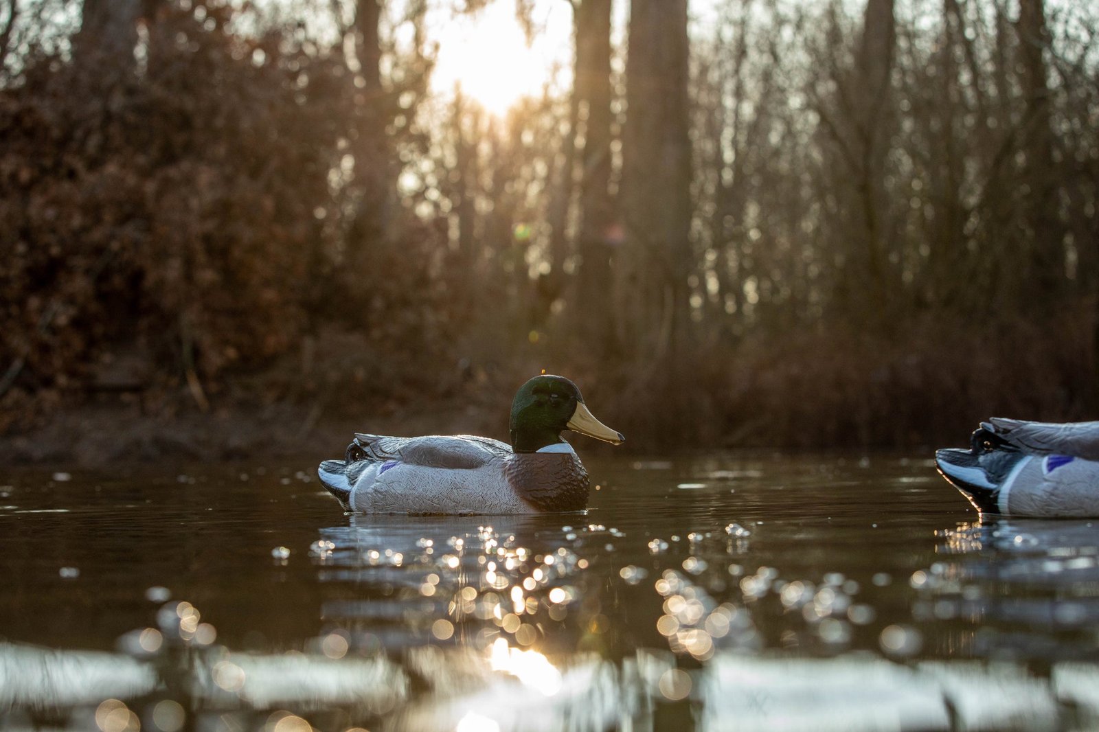 Battleship Mallard - Image 7