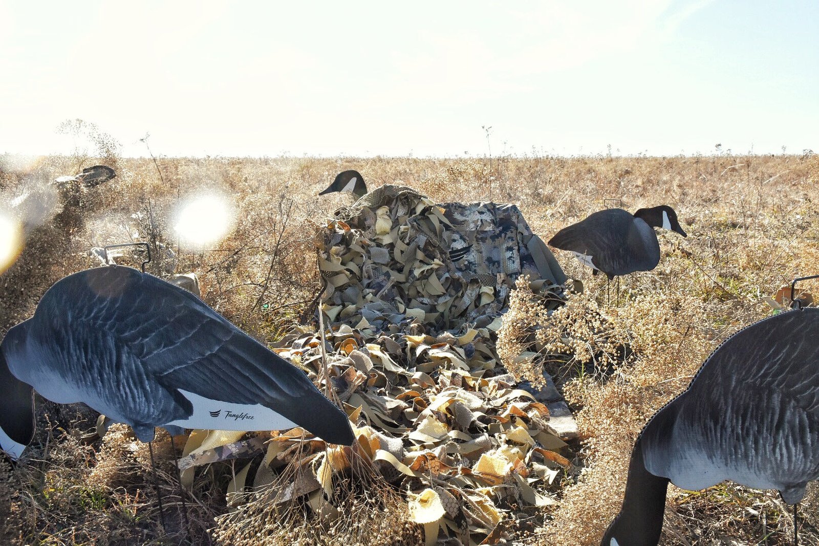 Flight Swag Blind - Optifade Marsh - Image 2